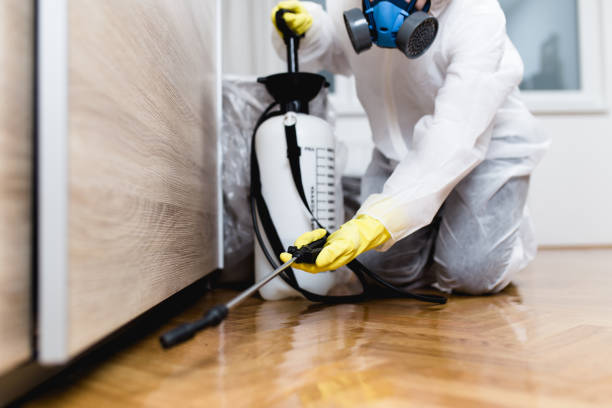 Best Mosquito Control Services  in Medina, TN
