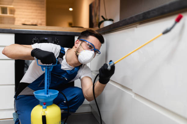 Best Best Pest Control Companies  in Medina, TN