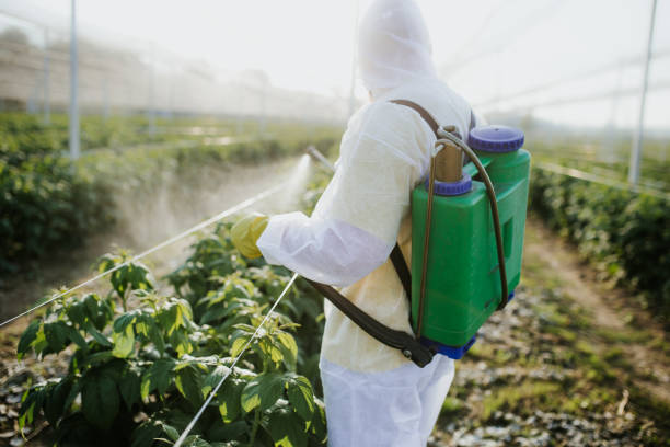 Best Commercial Pest Control Services  in Medina, TN